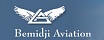 Bemidji Airlines (Бемиджи Эйрлайнc)
